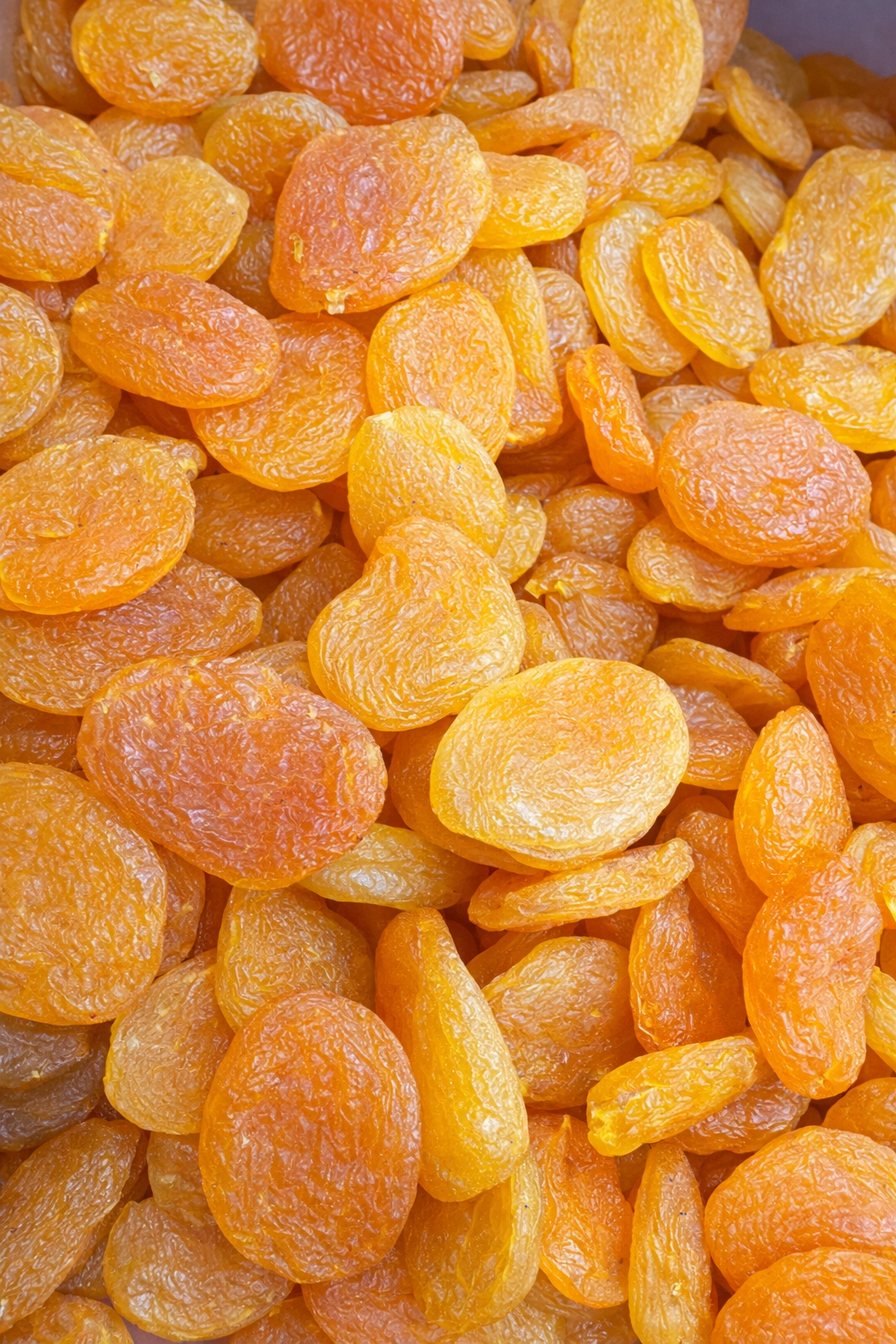 Seedless Apricot