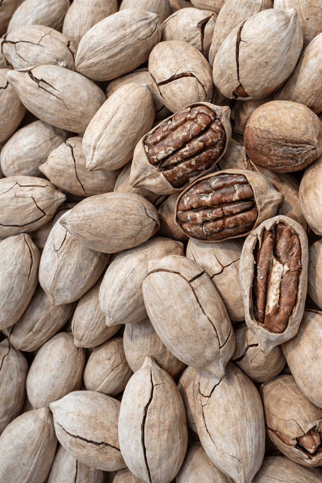 Pecan Nuts