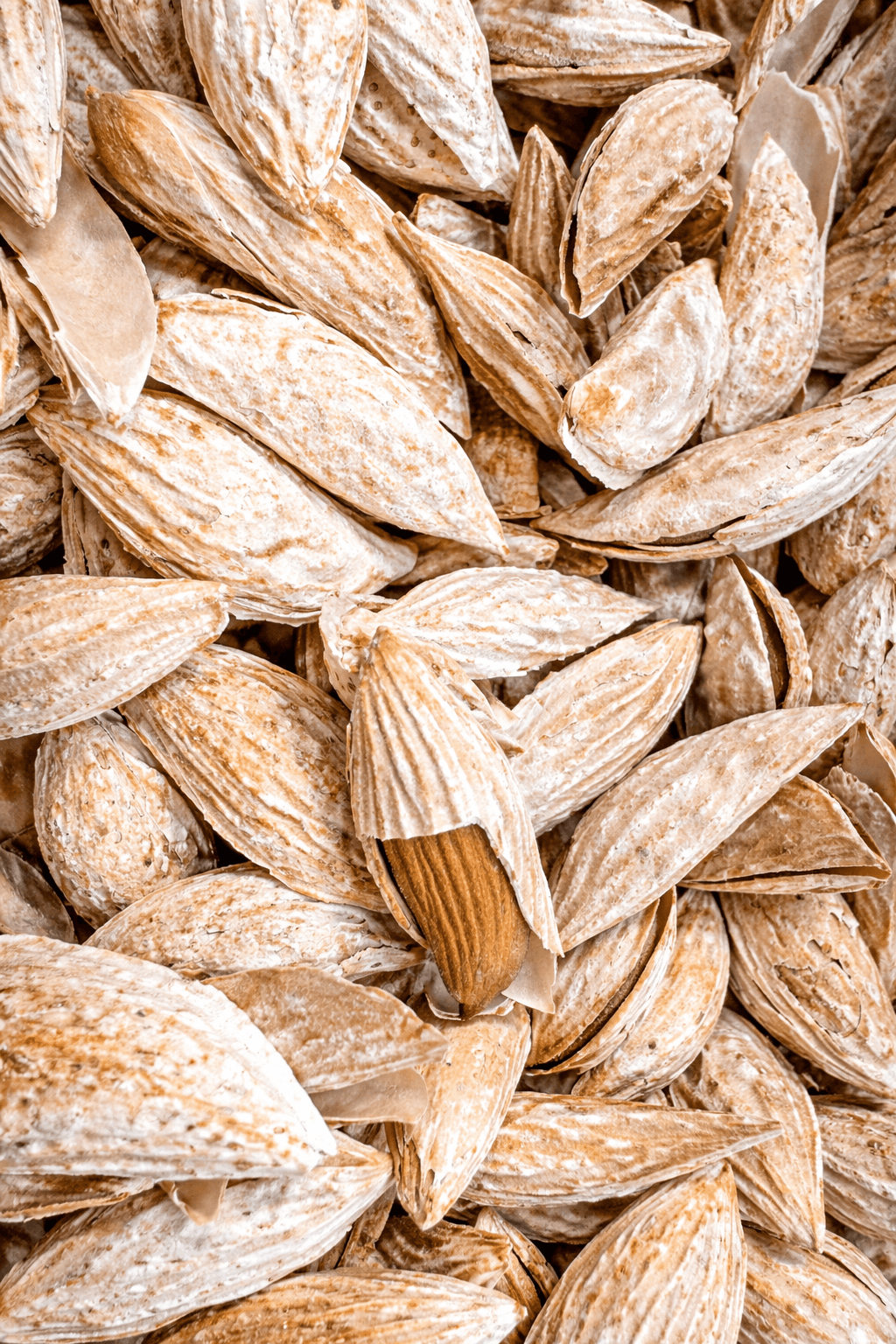 Kaghazi Mamra Almonds